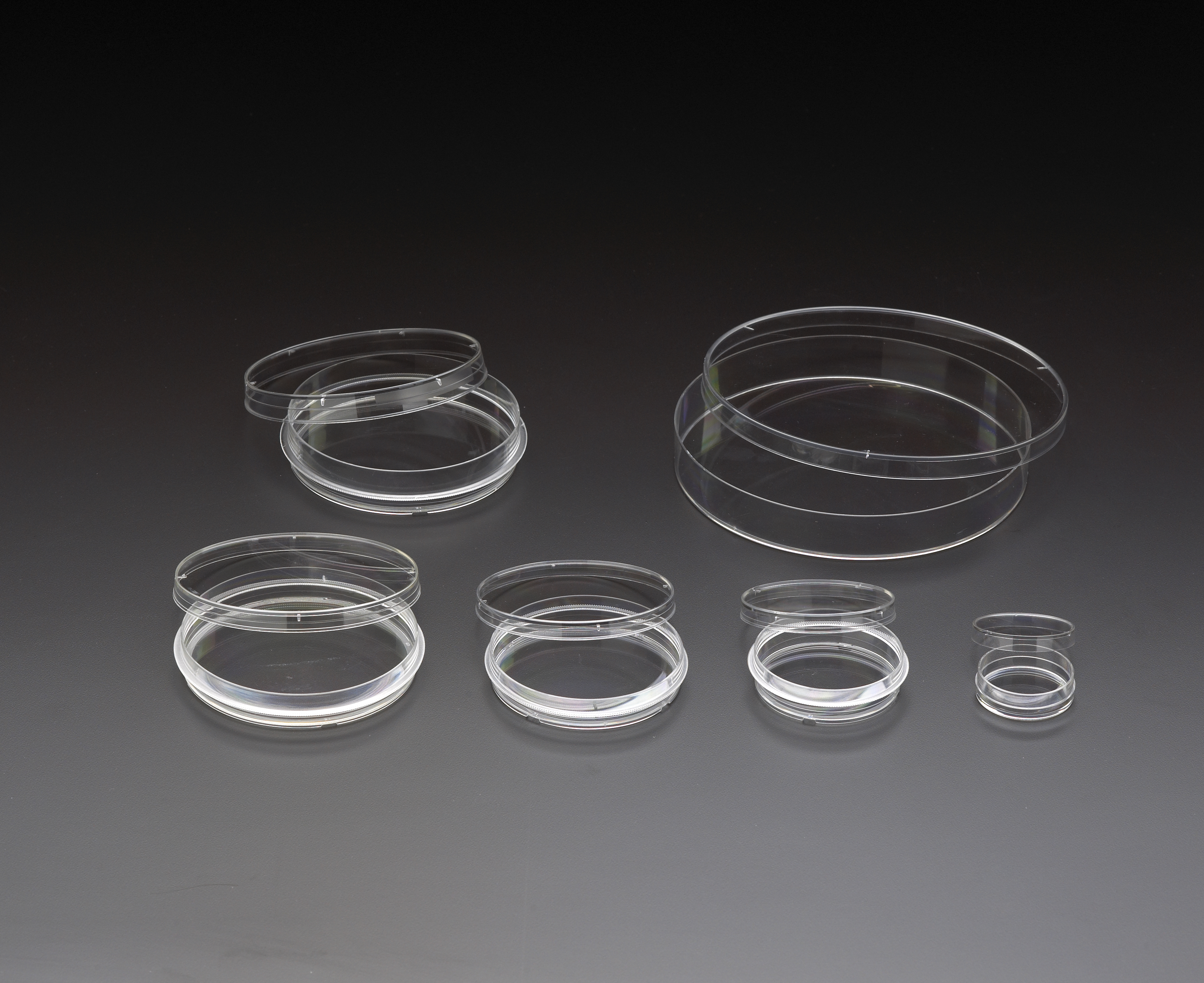 TREATED CULTURE DISH W/ GRIP RING 100X15MM STERILE