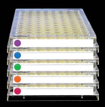 SEAL PLATE COLOR TAB ASSORTED SEALING FILM STERILE