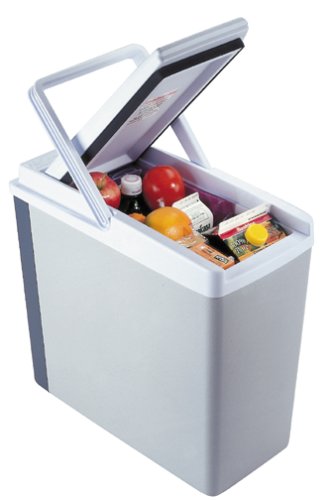  COMPACT COOLER FOR CARS 